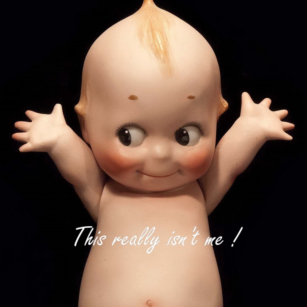 Meet your Posher, Claire